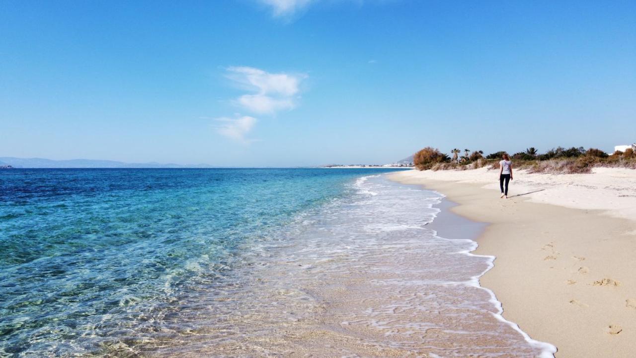 Studios Vrettos Beachfront Hotel Pláka Eksteriør bilde